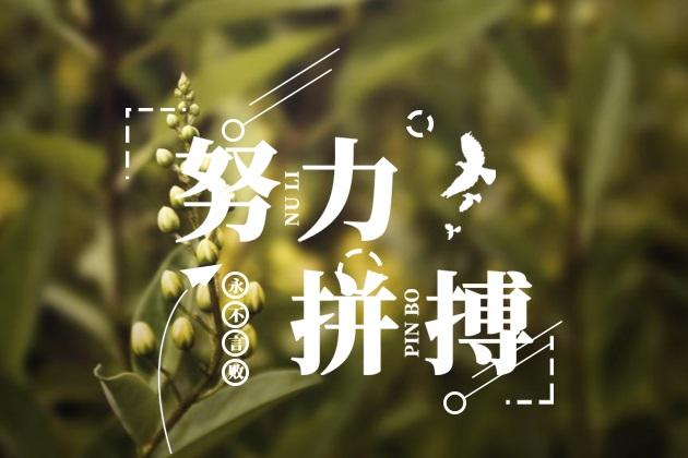  給我一份信任，還你10分滿意(圖3)
